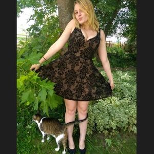 ❤️Charlotte Russe Velvet Skater Dress❤️